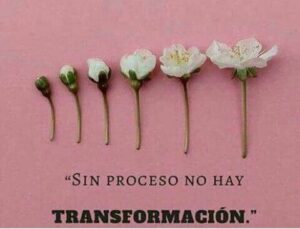 ¡Vive un proceso de transformación TOTAL!
